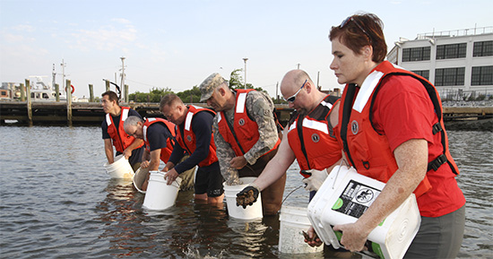 Norfolk District volunteers spread baby oysters on the new reef