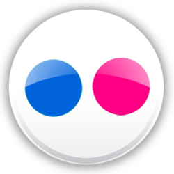 Image of Flickr logo